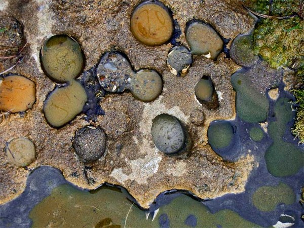 Paint Pots