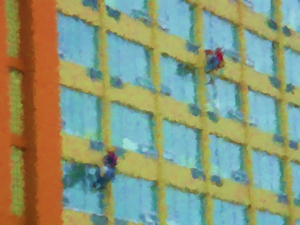 Windows