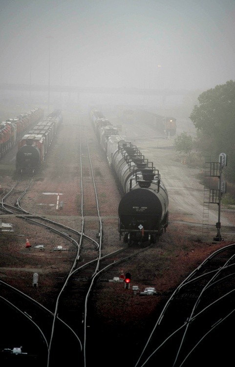 Trains in Morning Fog