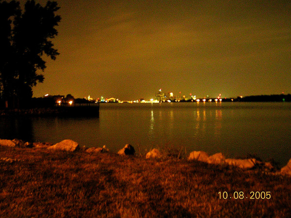 the city lights
