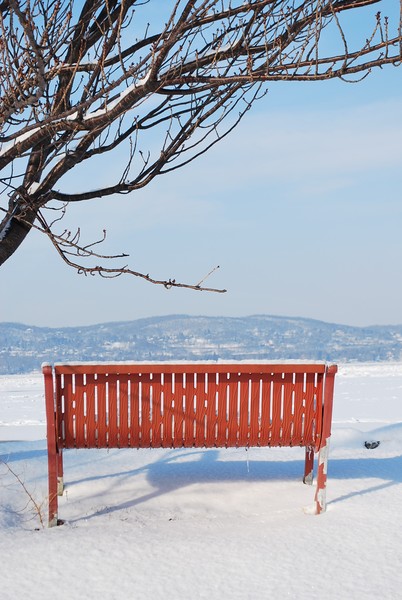 Lonely Park
