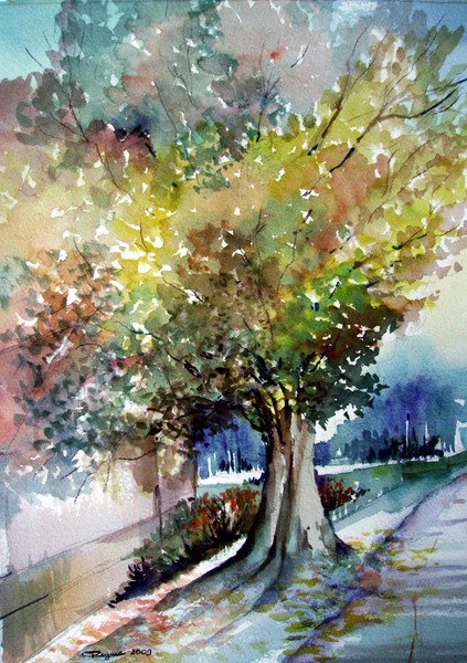 Colourful leaves