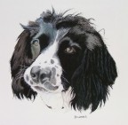 molly
