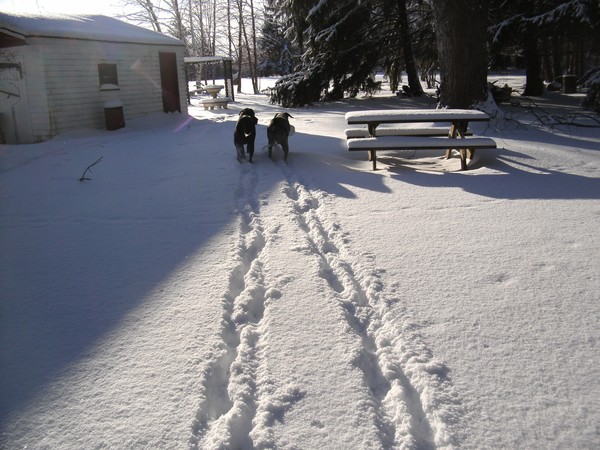 2010 The Big Snow Follow Us