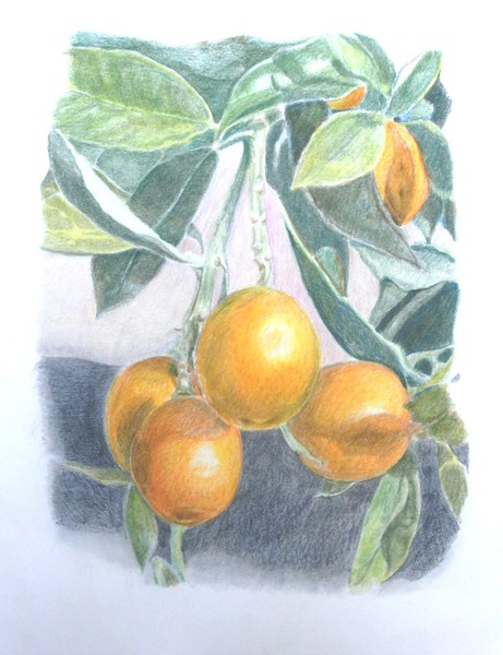 Tutti Fruitti