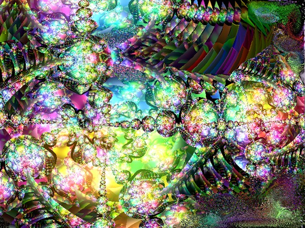 Inside Creation