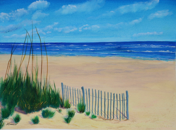 Guarding The Dune