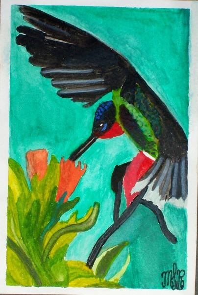 Hummingbird in flight