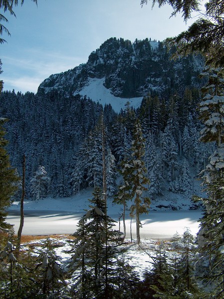 The Winter Shot