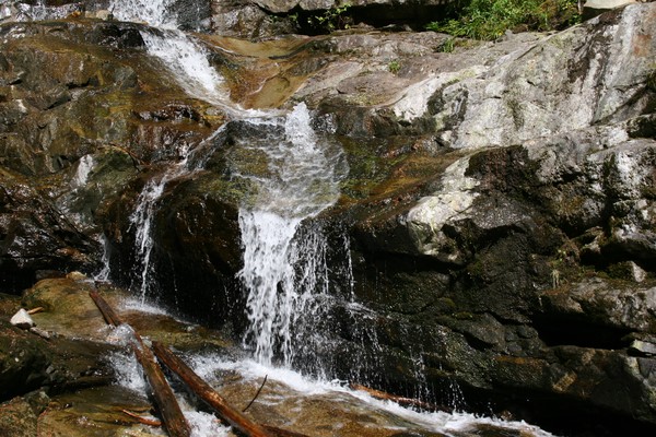 Refreshing