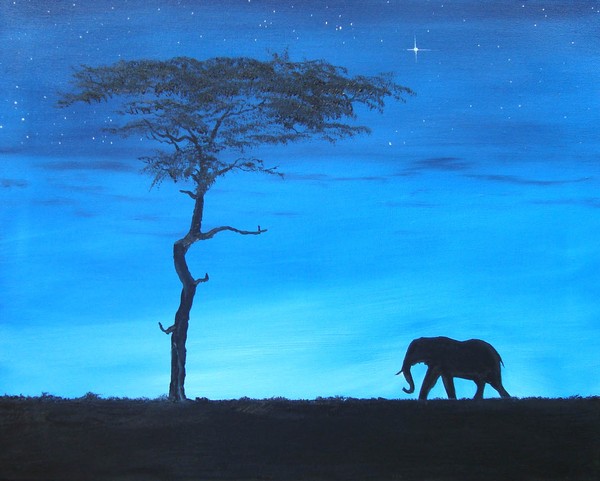 Serengeti Solitude