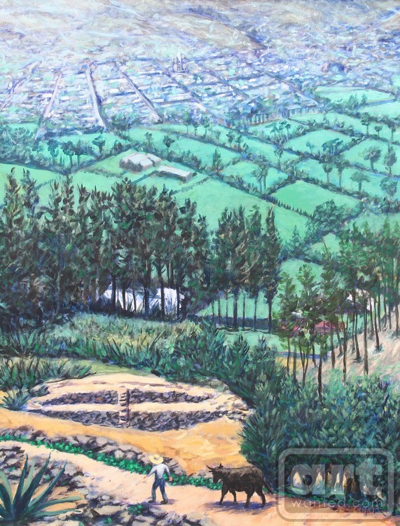 valle de celendin