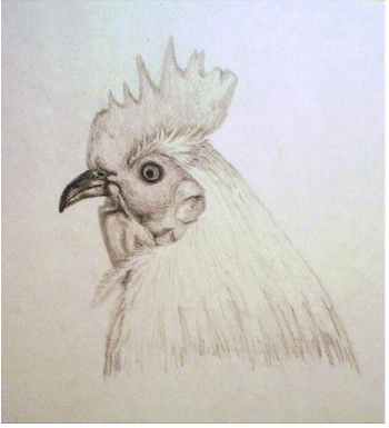 Rooster Head