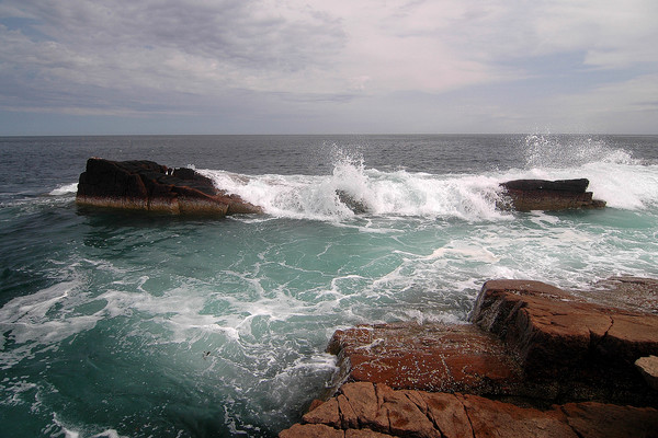 Maine coast