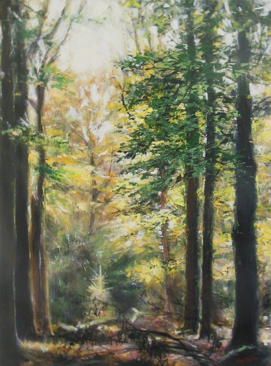 crone forest