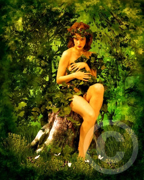 Nymph In The Meadow