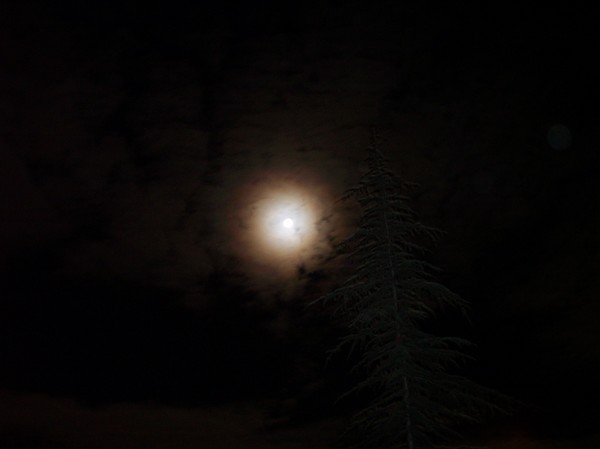 moon