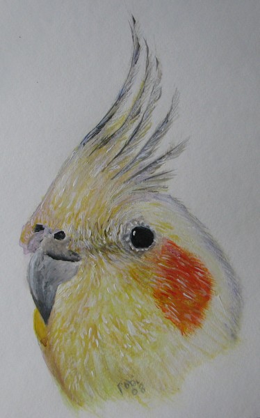 Oscar