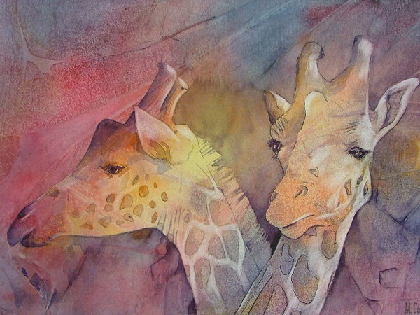 Giraffes