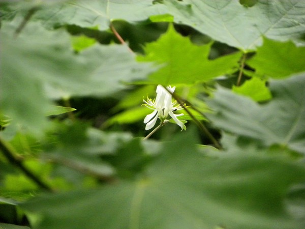 My photo blog_6 image 6.32