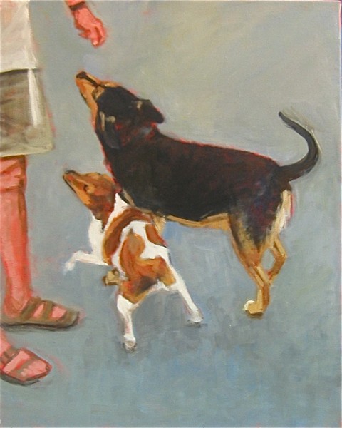 Dog Play