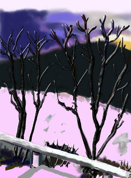Winter Landscape