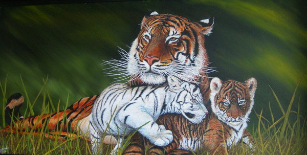 Tigress Custody
