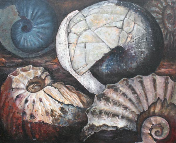 Ammonite Mass Mortaility # 3