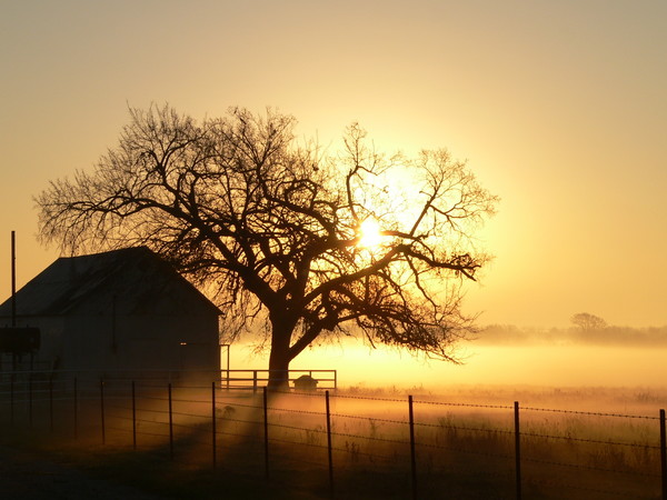 Sunrise