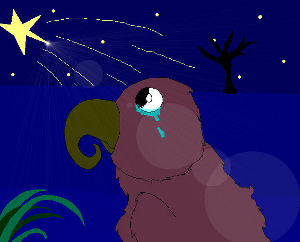 A Sad Bird