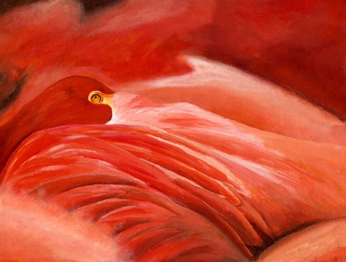 flamingo in pink