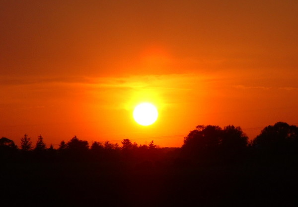 Fire in the Sky
