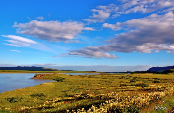 A earth,water and  sky !