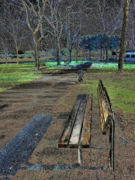 In the park