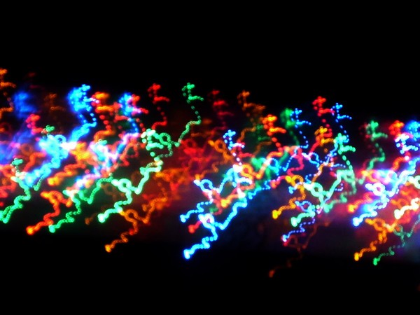 The Lights Would Not Hold Still
