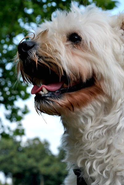 BILLY; Up Close and Personal