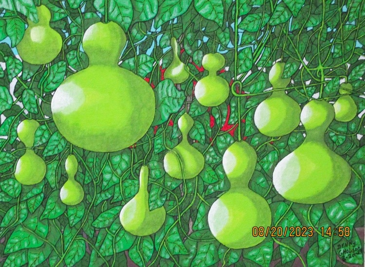 Gourd