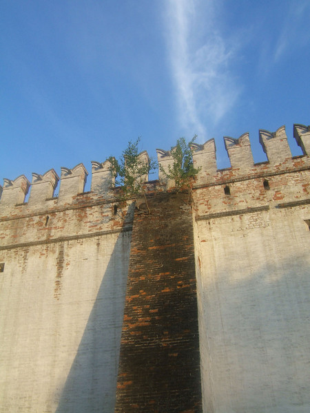 Power of life. Novodevichi Monastery