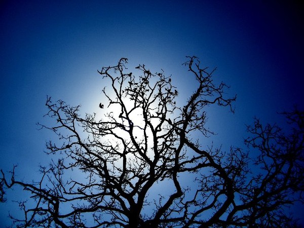 Blue moon..