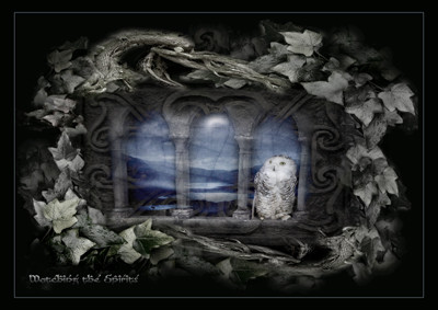 Hoot- watching the spirits