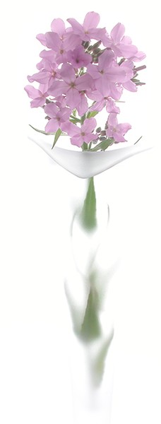 A Touch Of Softness