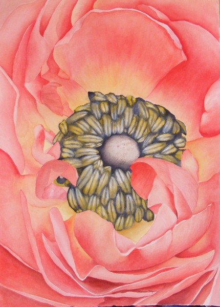 Poppy