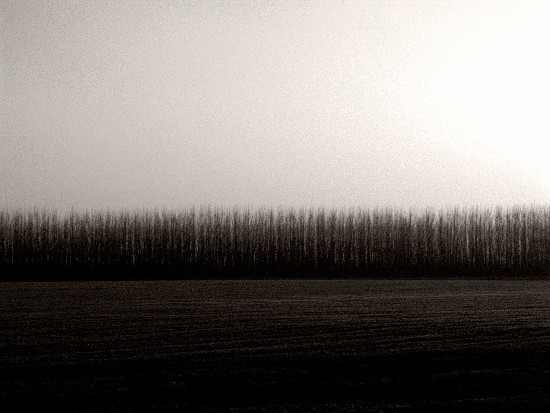 Lost
