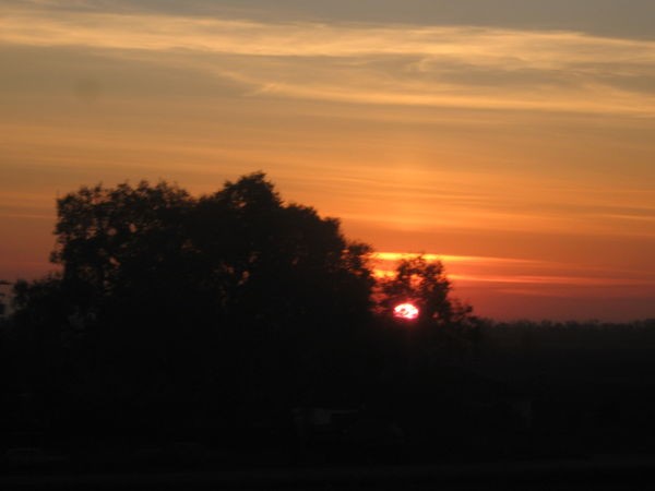 California Sunset