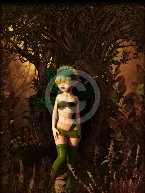 Beautiful Fairy 