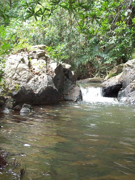 Small Warte Fall