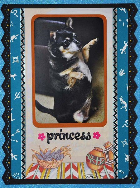 Princess copy