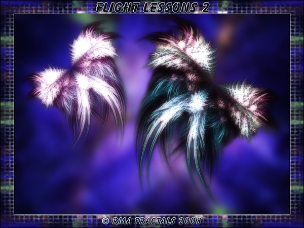 Flight Lessons 2