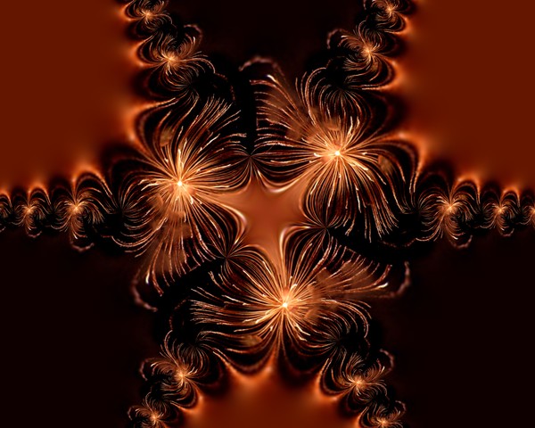 Firework art