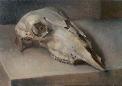 Sheep Skull